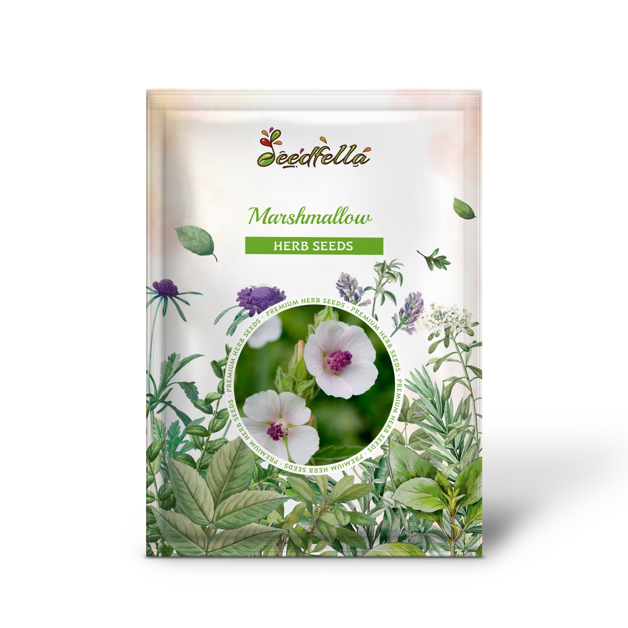 Althaea officinalis flowers grown from seeds attracting pollinators