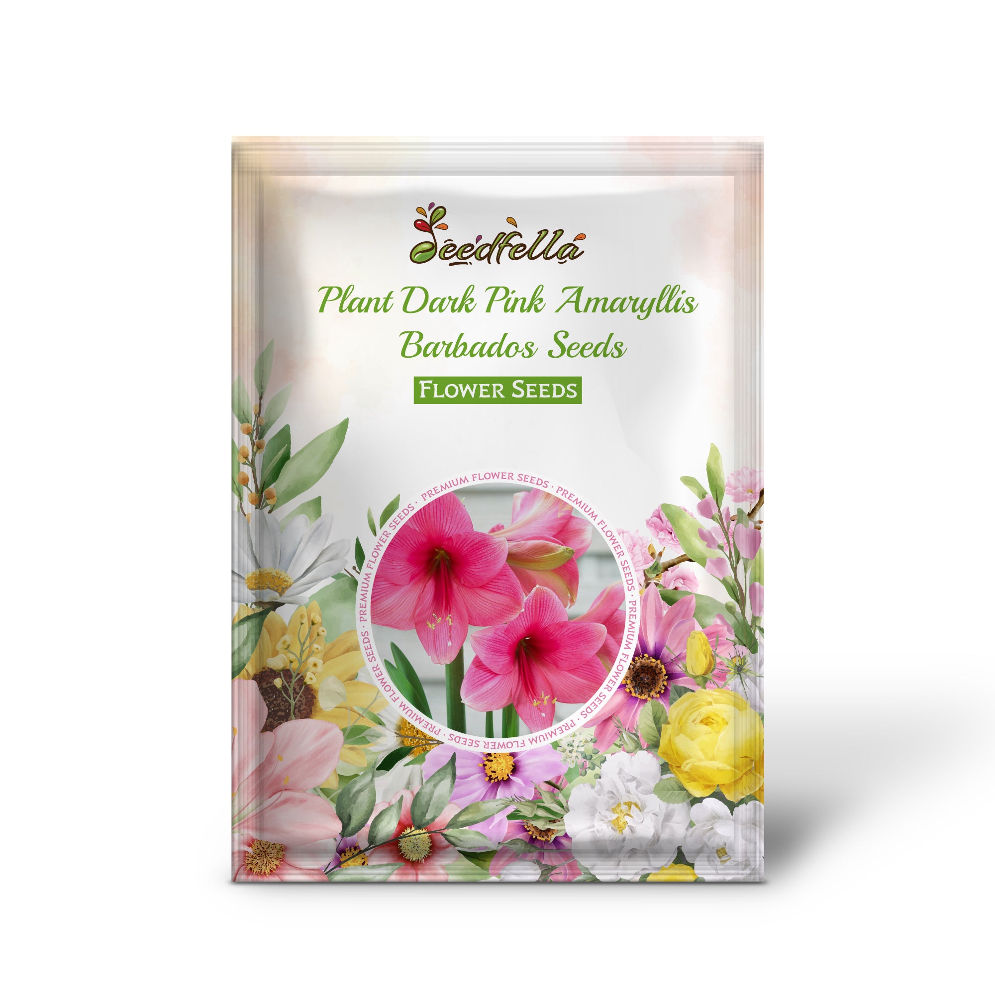 Stunning Dark Pink Amaryllis Barbados Flowers