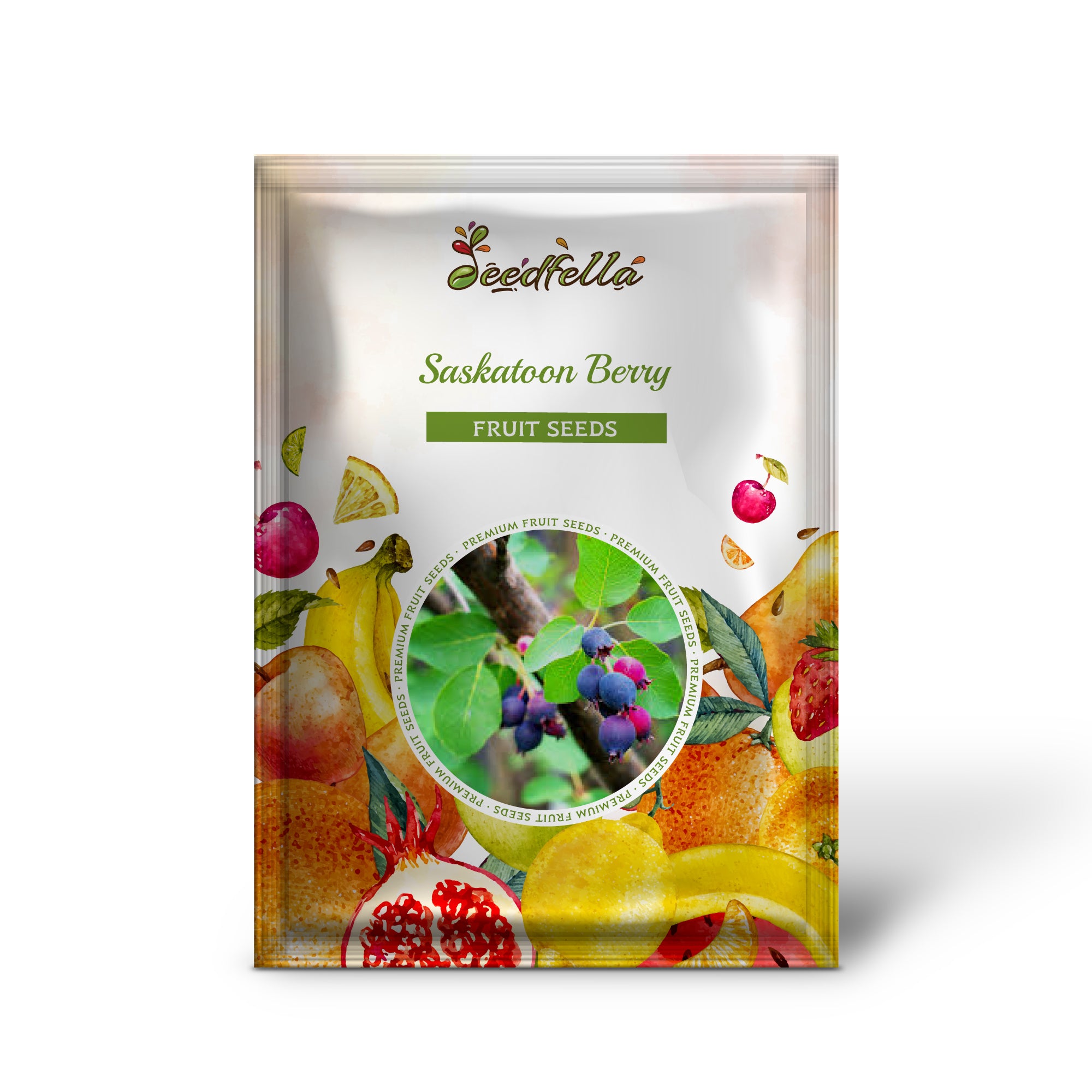 Amelanchier alnifolia Saskatoon berry seeds producing blue-purple fruits