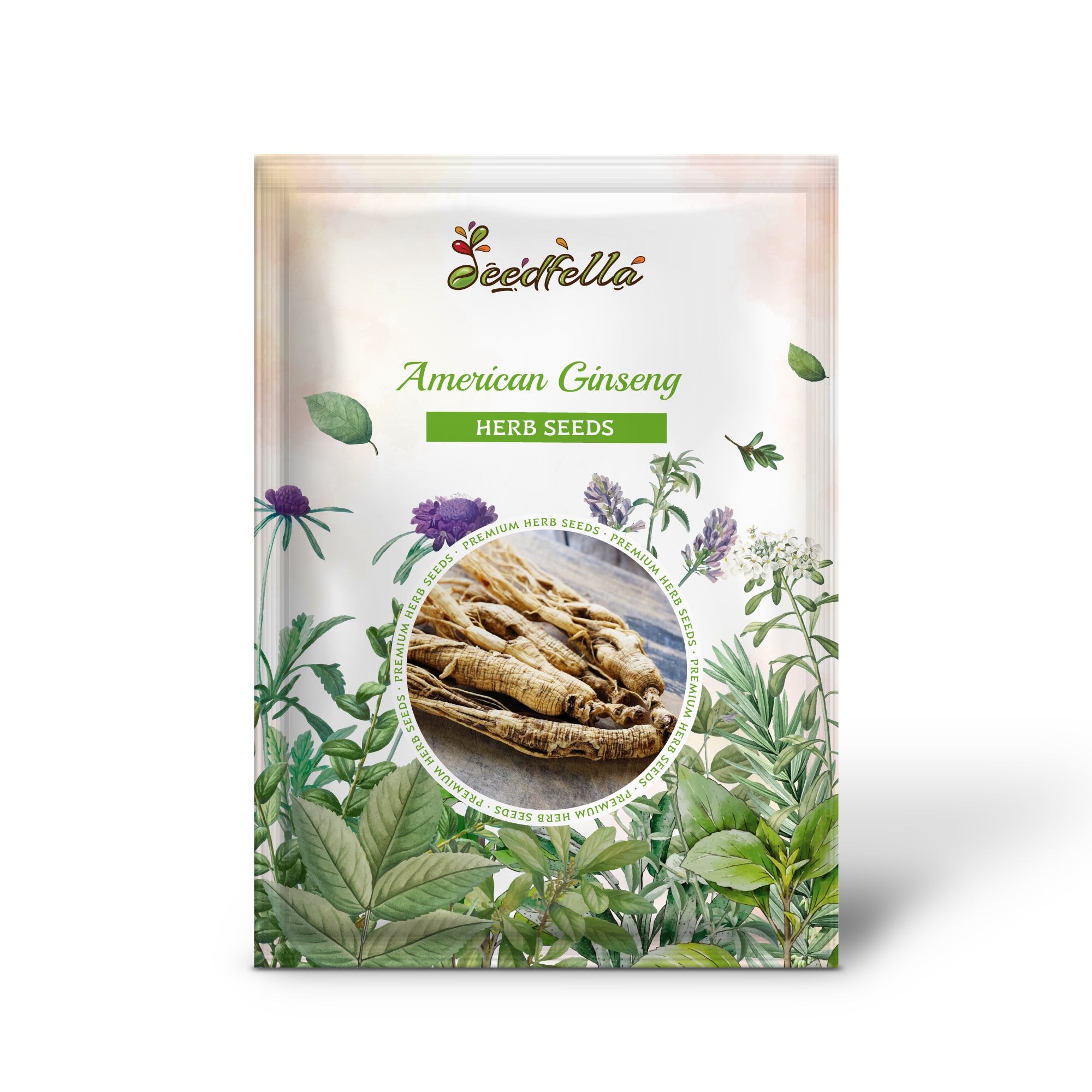 Woodland American Ginseng plants grown from non-GMO seeds