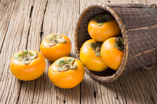 American Persimmon tree seeds for planting