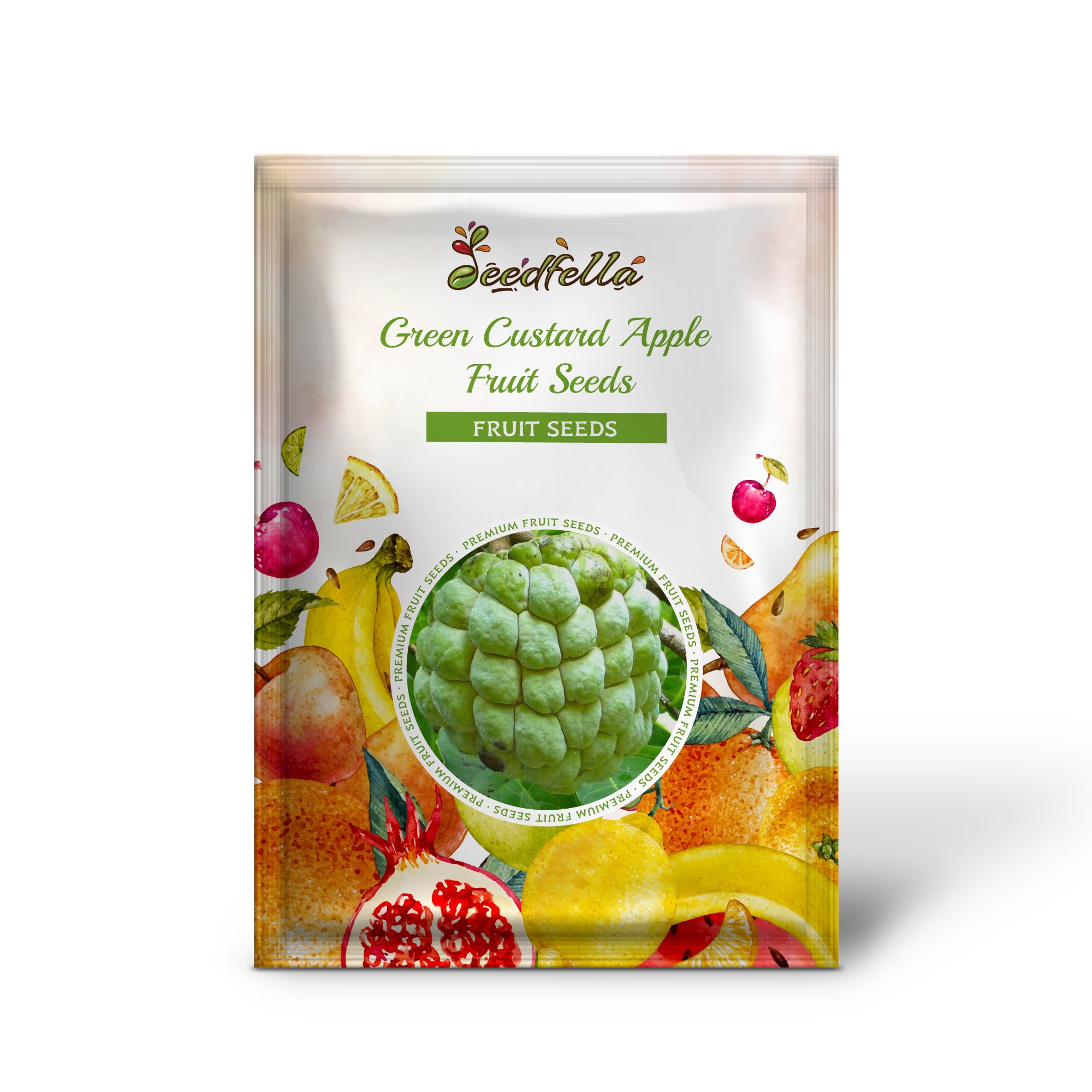 Annona Squamosa Custard Apple Tree Growing in Garden