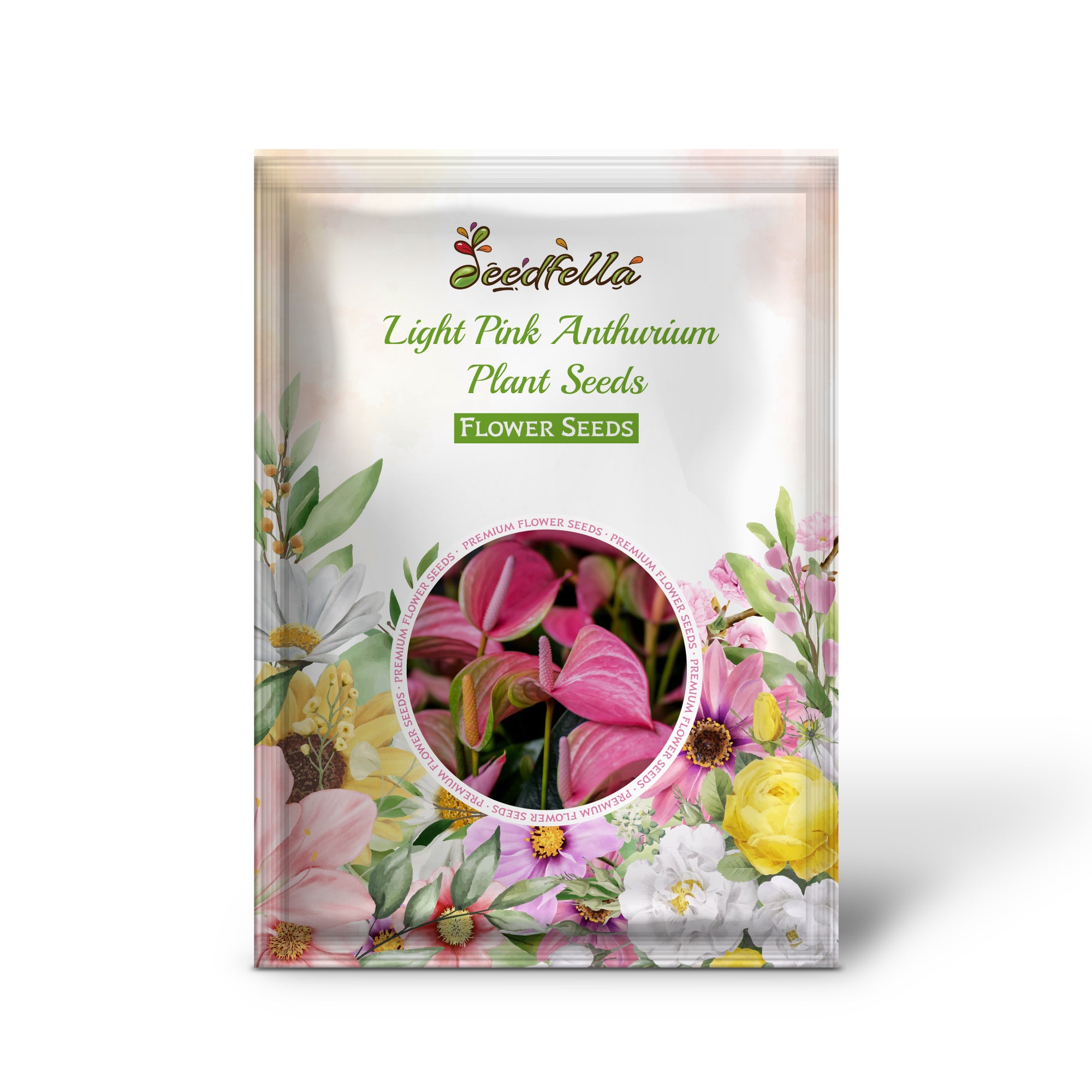 Elegant Light Pink Anthurium Blooms for Indoor and Garden Décor