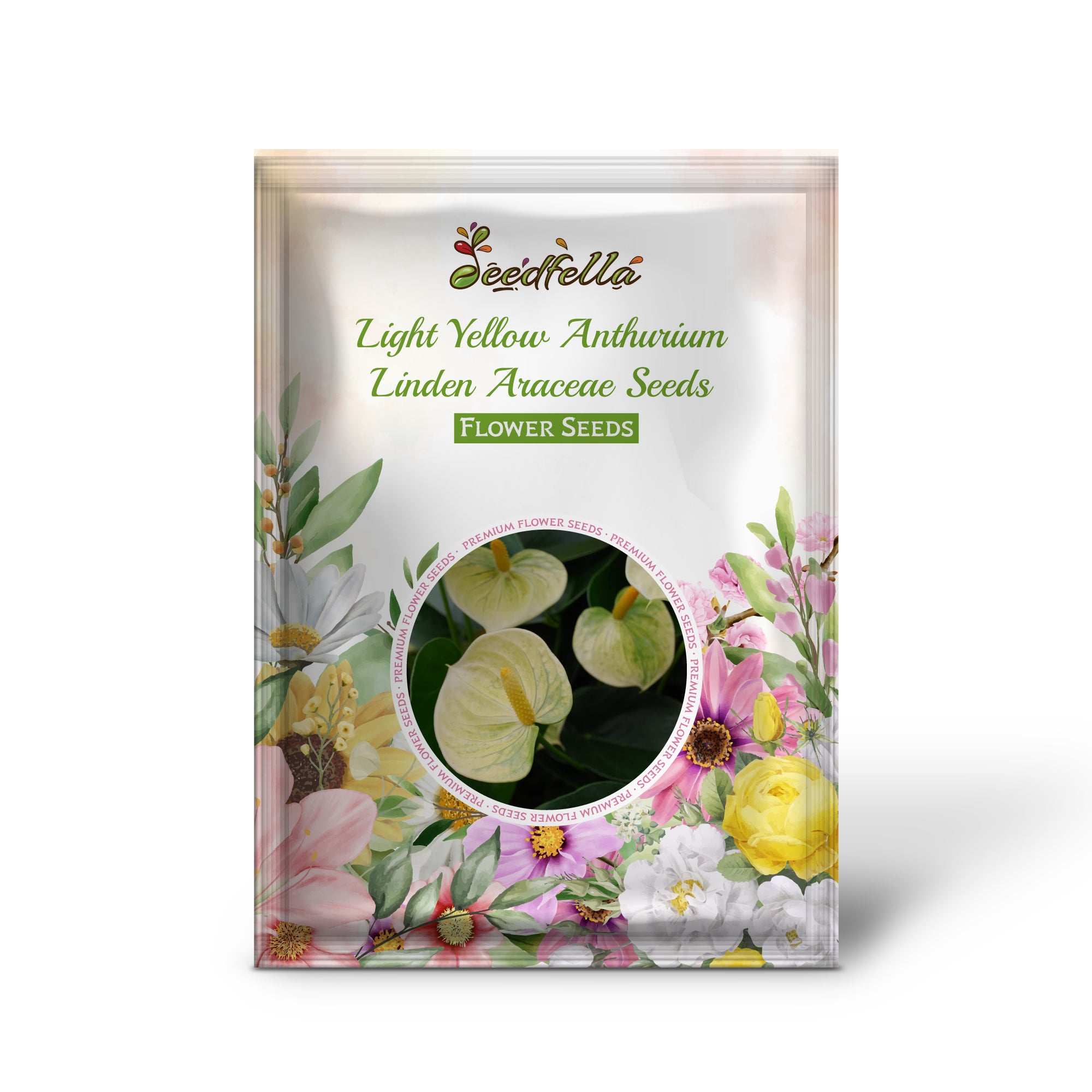 Anthurium Linden Araceae Exotic Flower Seeds