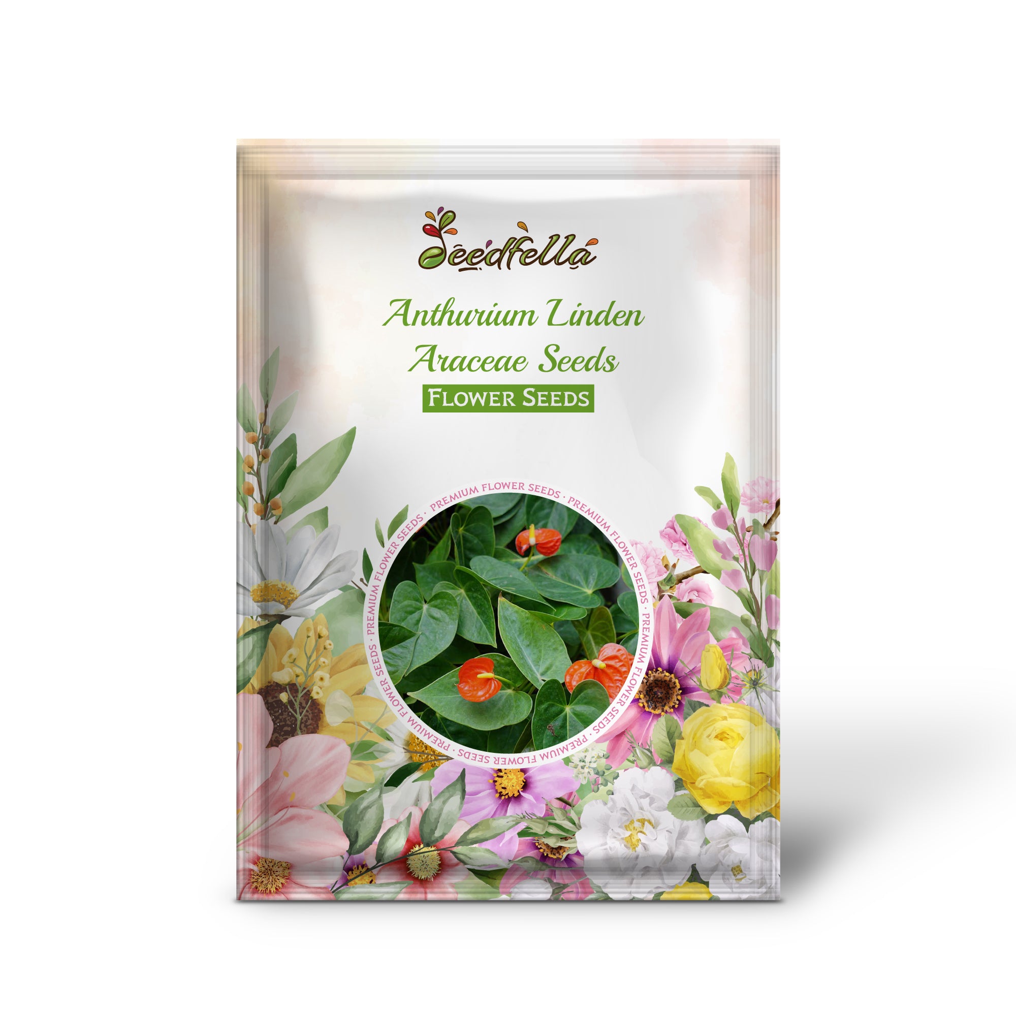 Anthurium Linden Red Blooms Tropical Plant