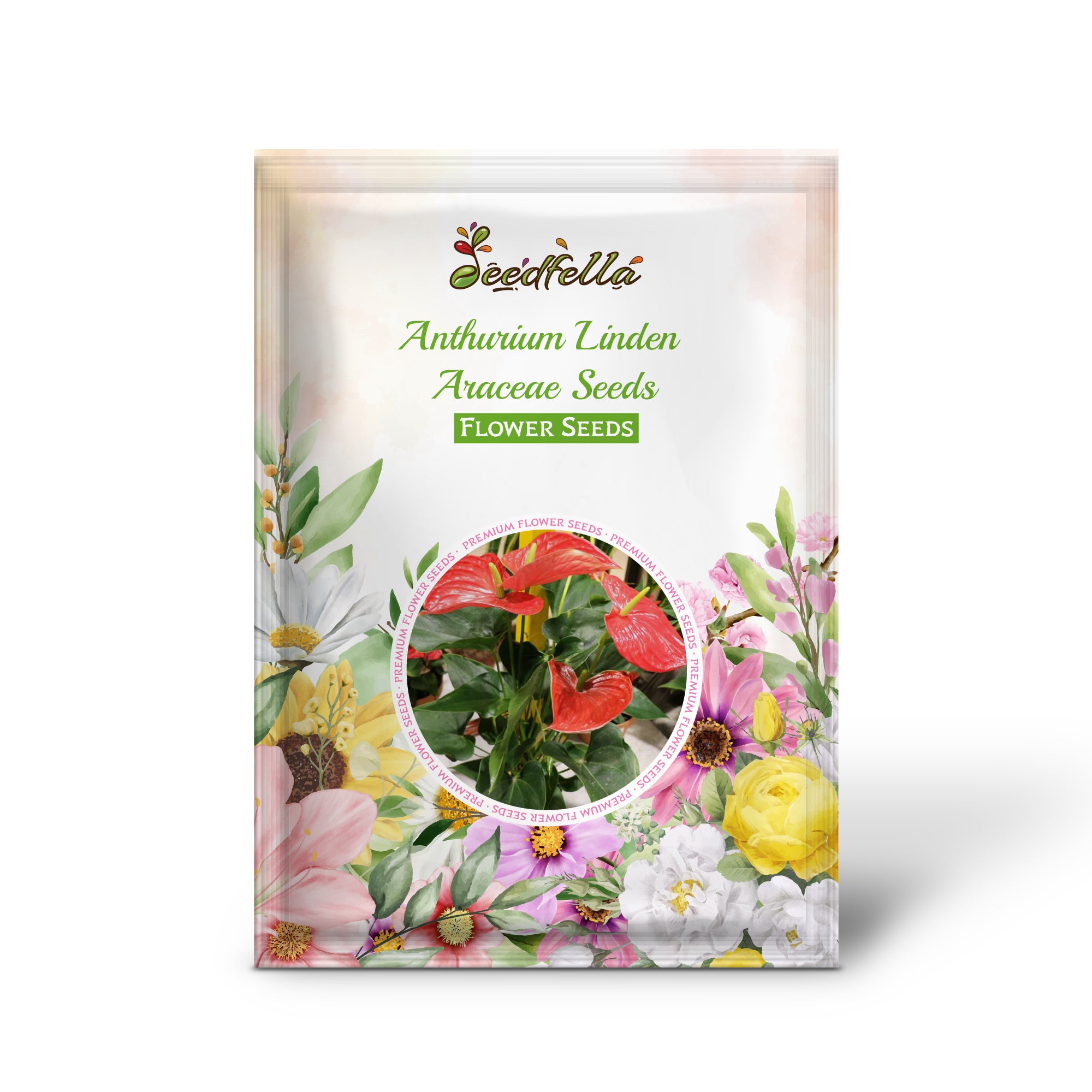 Anthurium plant with orange and green foliage