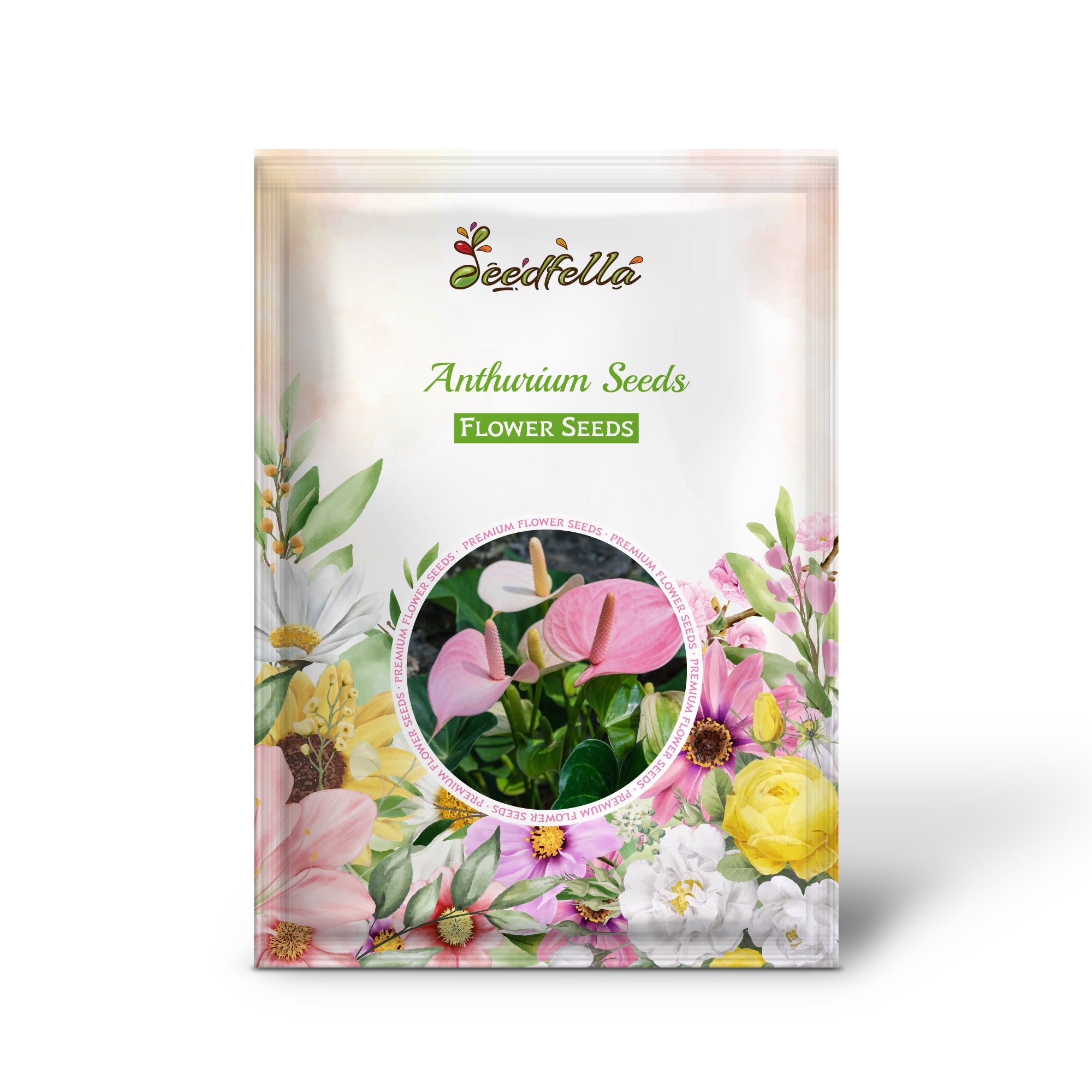 Anthurium Pink Blooms for Elegant Indoor and Outdoor Gardens