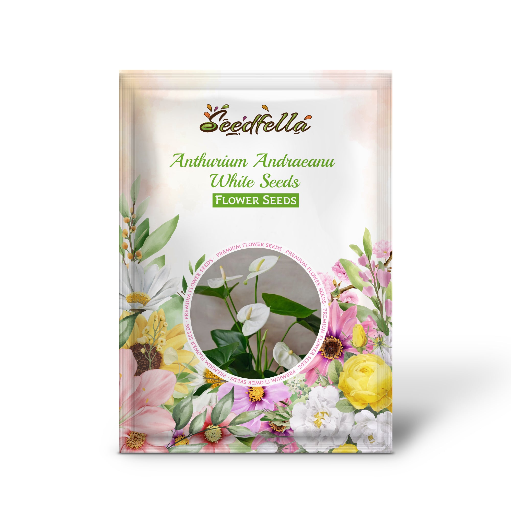 Anthurium seeds germination seedlings indoor