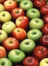 Apple Seed Planting Mix for Home Gardens, Step-by-Step Guide for Growing Apple Trees