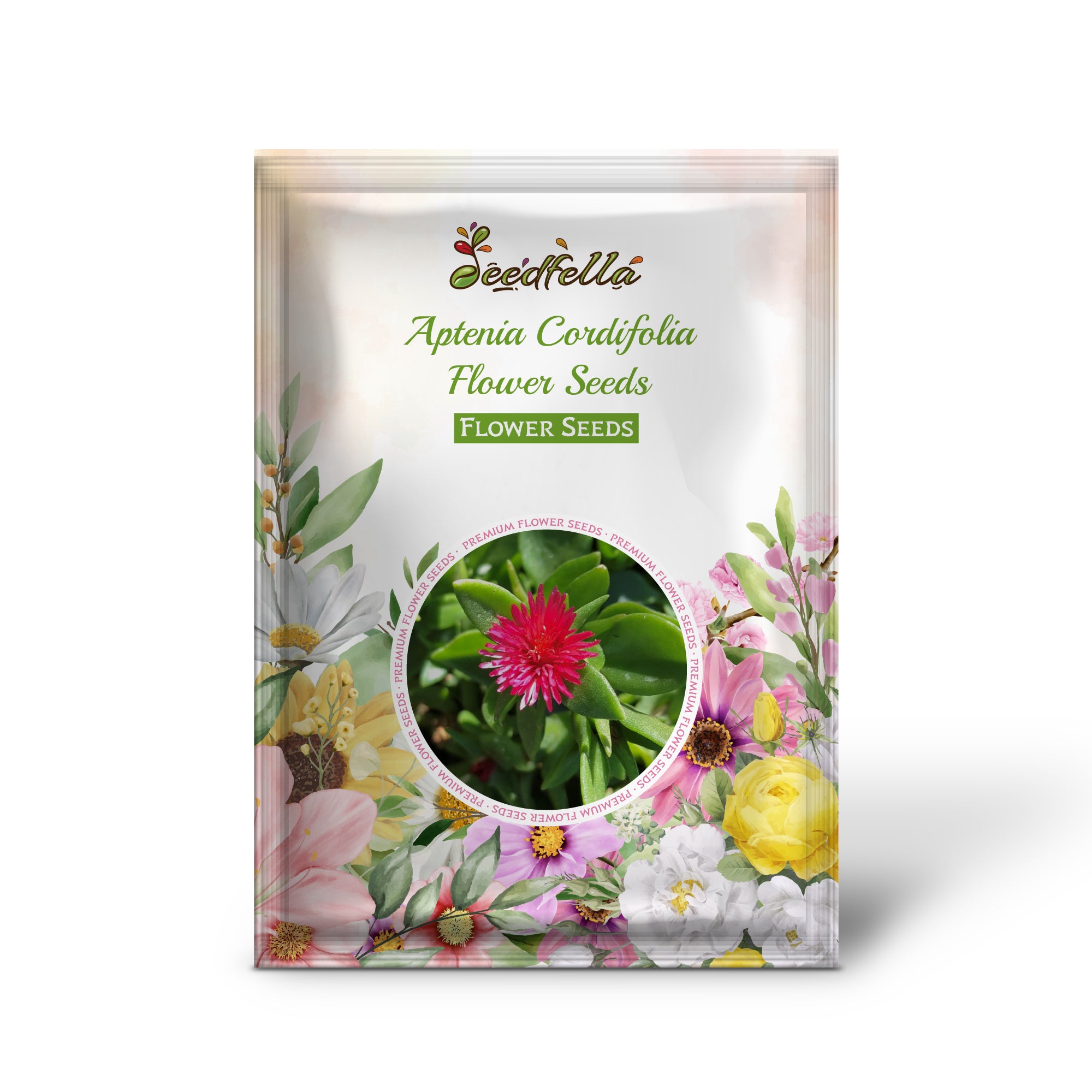 Aptenia Cordifolia Baby Sun Rose Seeds – Vibrant Ground Cover Plant