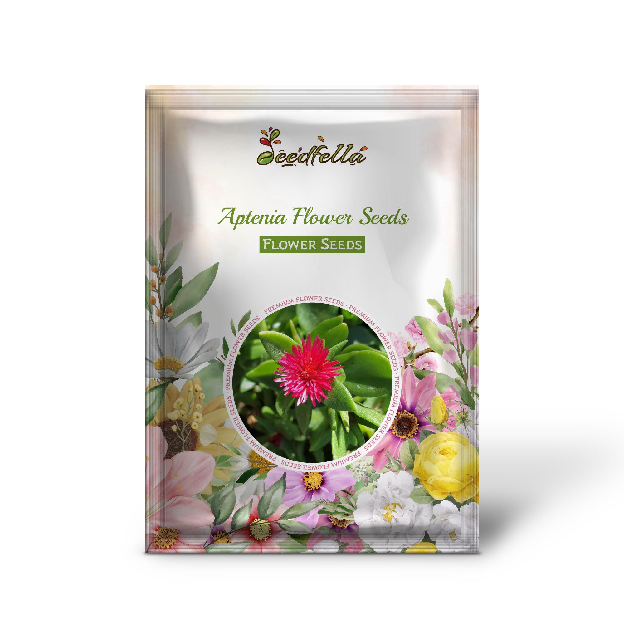  High quality Aptenia succulent flower seeds for home gardens