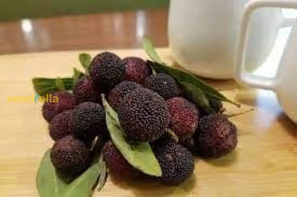 Arbutus Bayberry Fruit Seeds For Planting - Grow Edible Berries