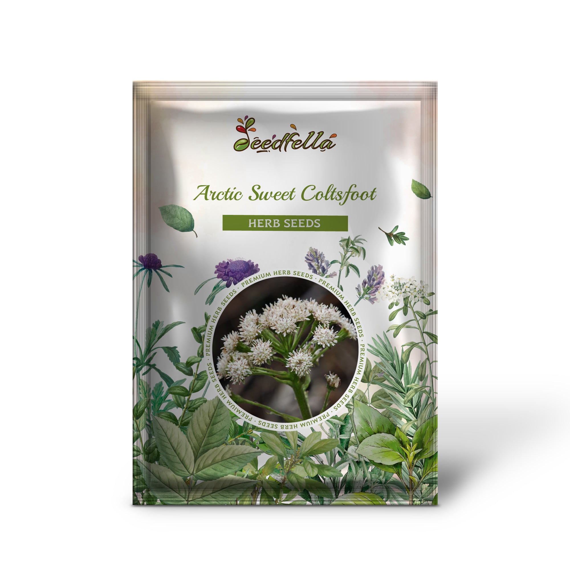 White and pink flowers produced from Arctic Sweet Coltsfoot seeds