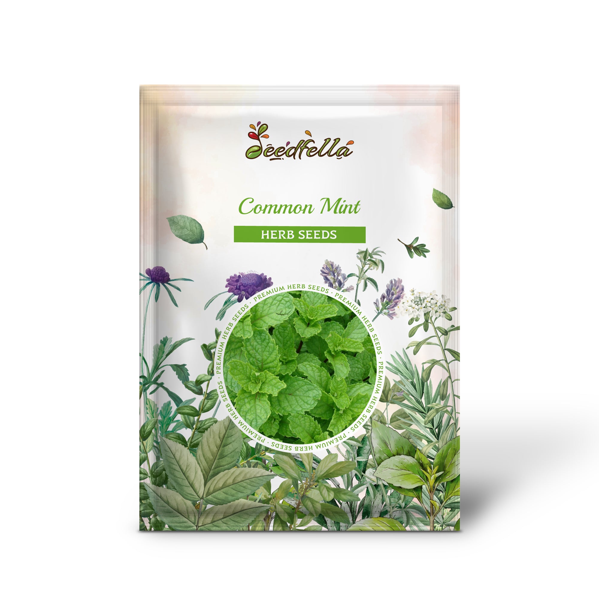 Non-GMO Common Mint seeds leafy perennial variety