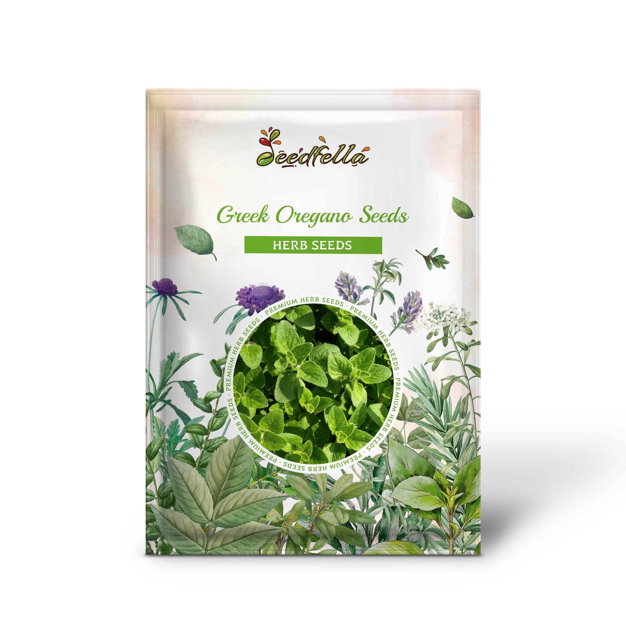 Non-GMO Greek Oregano seeds for home gardening