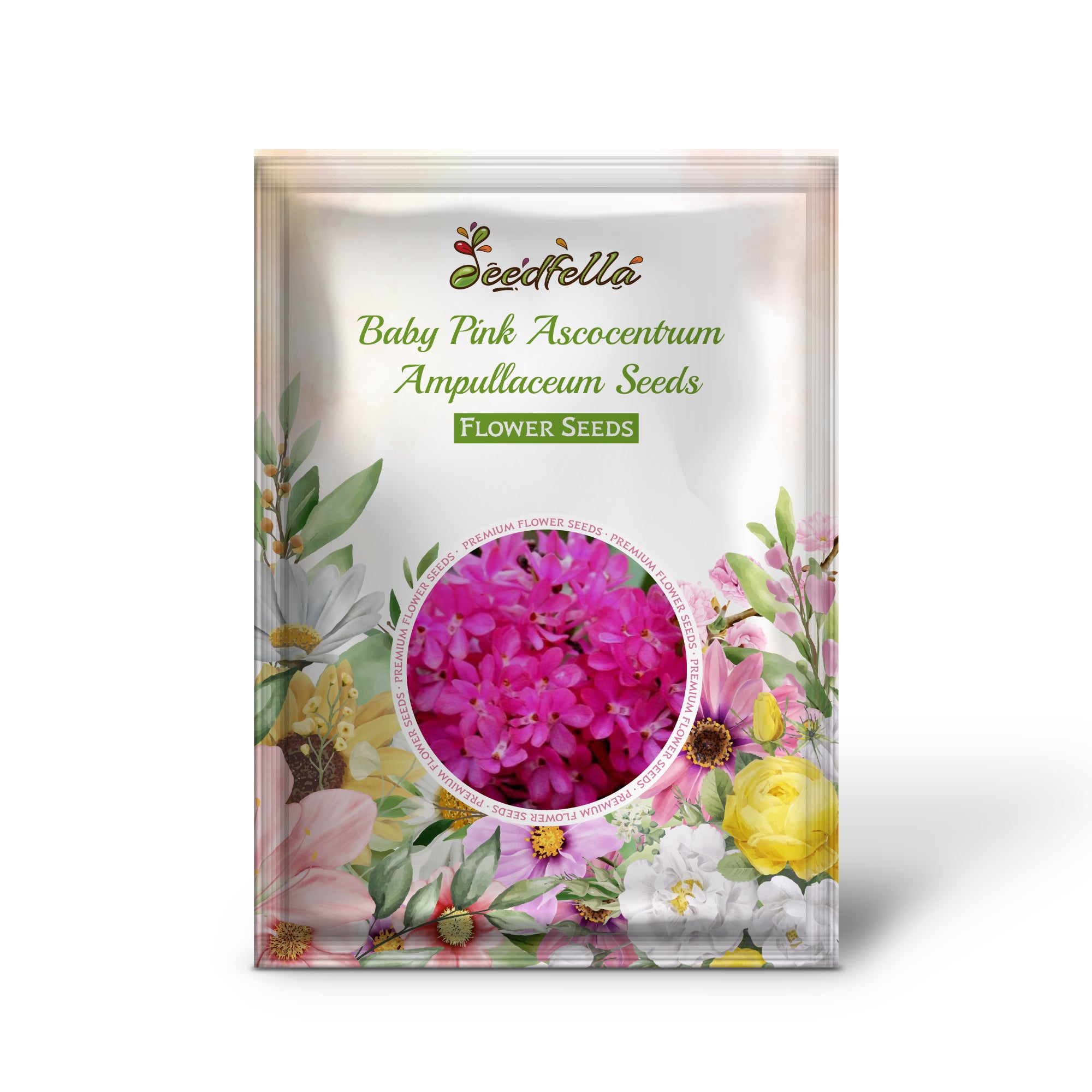Ascocentrum Baby Pink Seeds For Planting