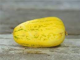 Asian Apple Melon Seeds for Planting, Step-by-Step Guide for Growing Sweet Melons