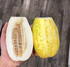 Step-by-Step Planting Instructions for Asian Apple Melon Seeds