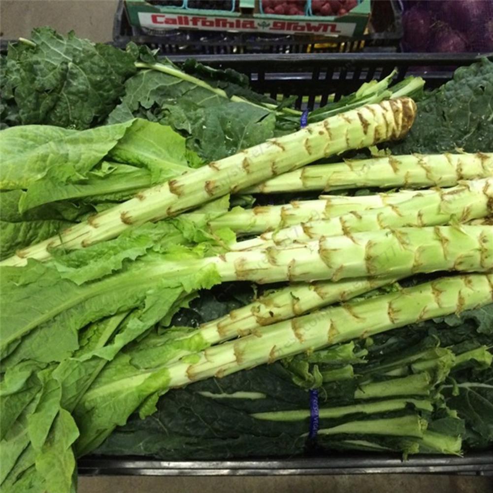 Asparagus Lettuce seeds non GMO for planting