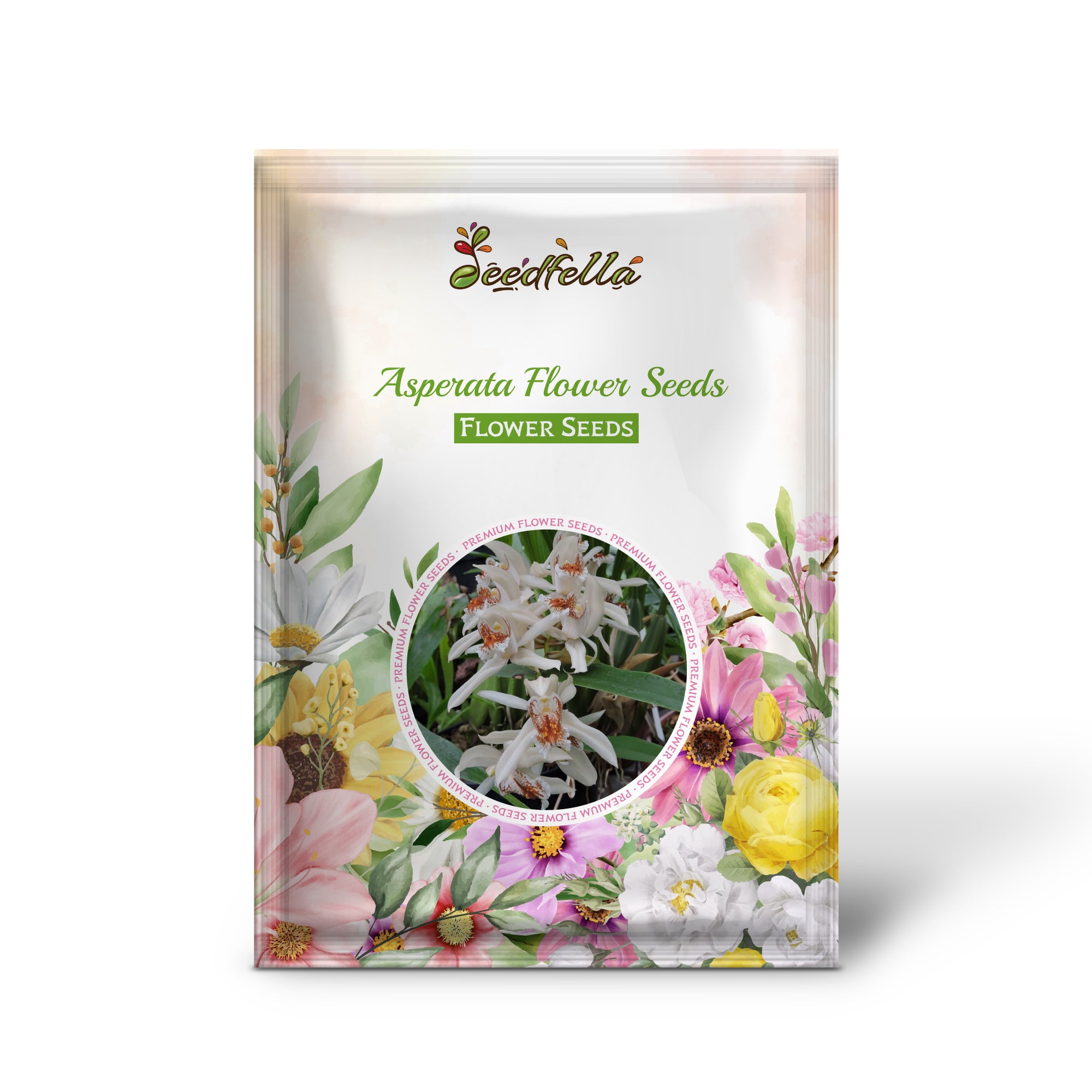 Asperata flowers blooming in garden