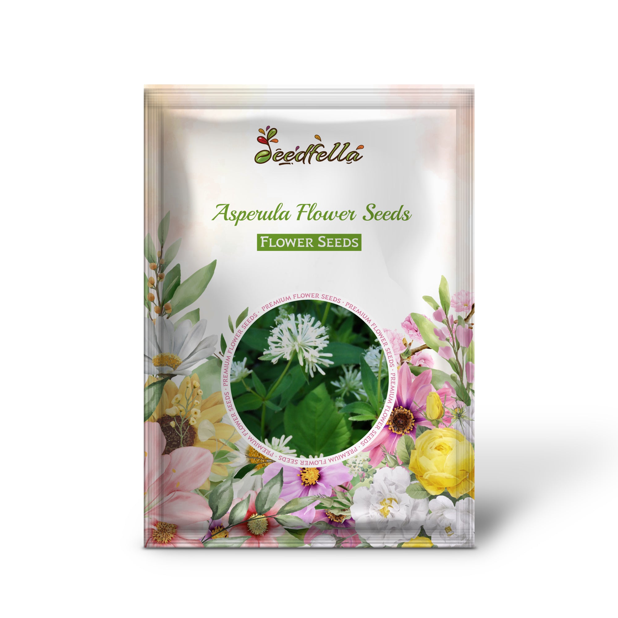 Blue Woodruff Flowers Grown from Asperula Seeds