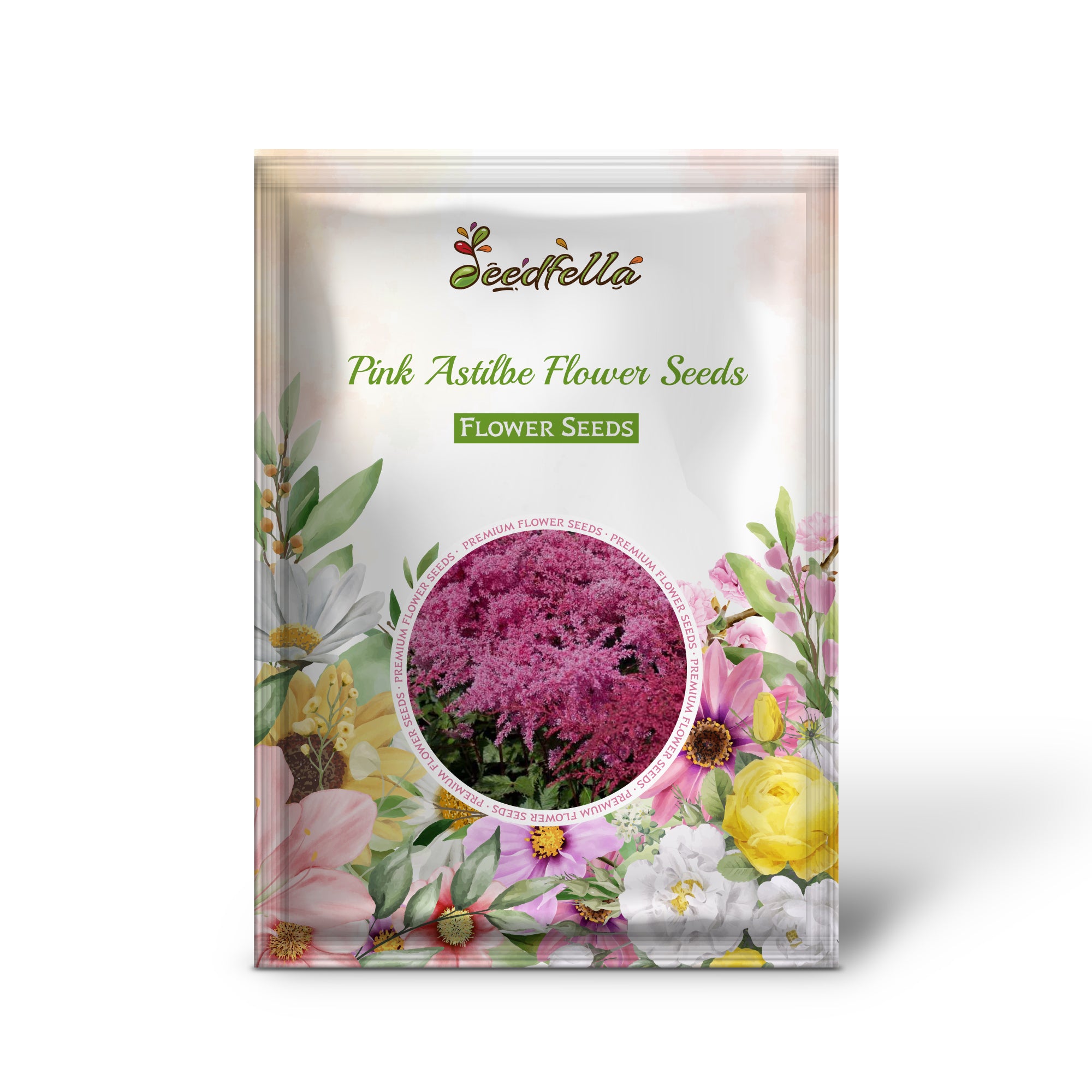 Astilbe Pink Seeds For Planting