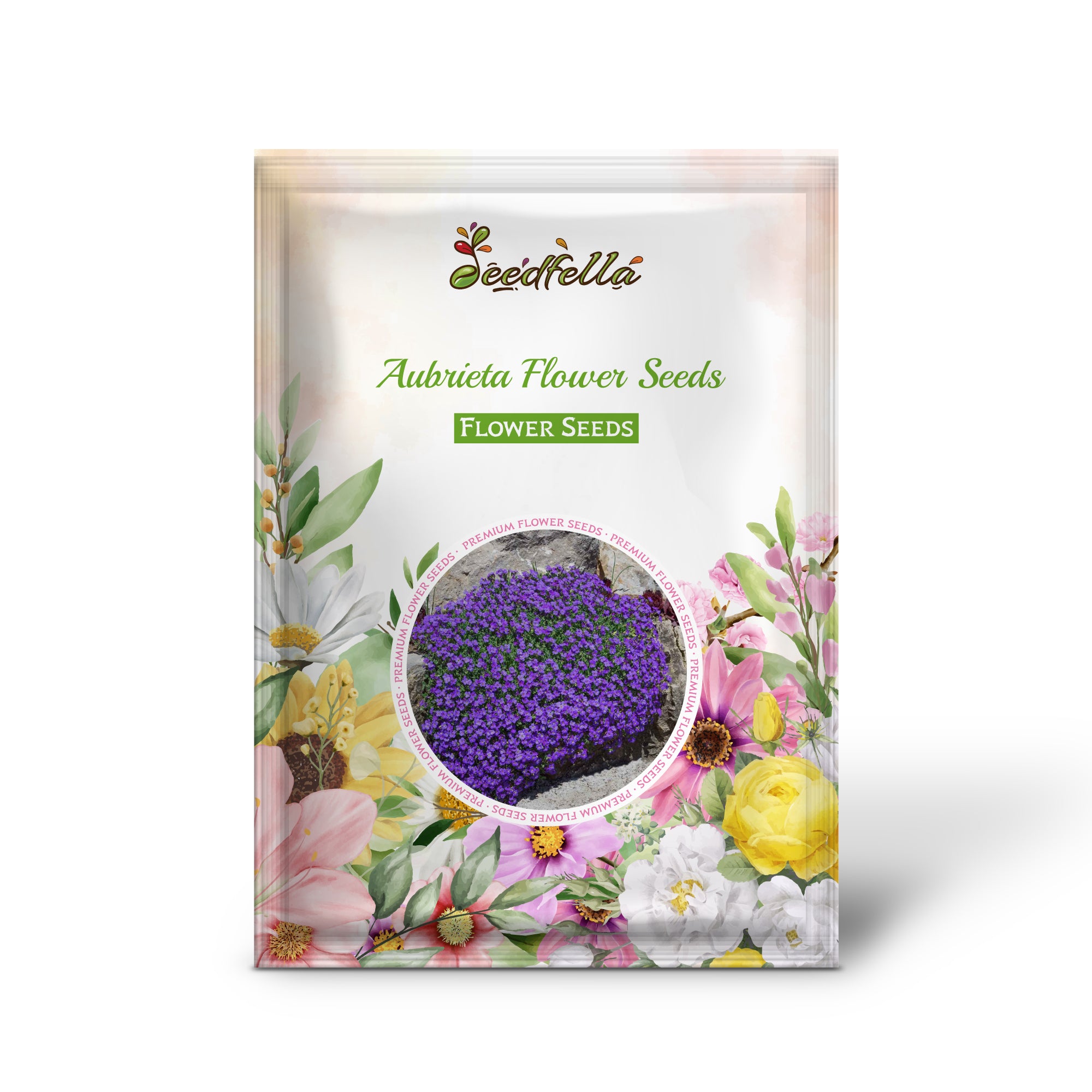 Aubrieta flowers forming colorful ground cover