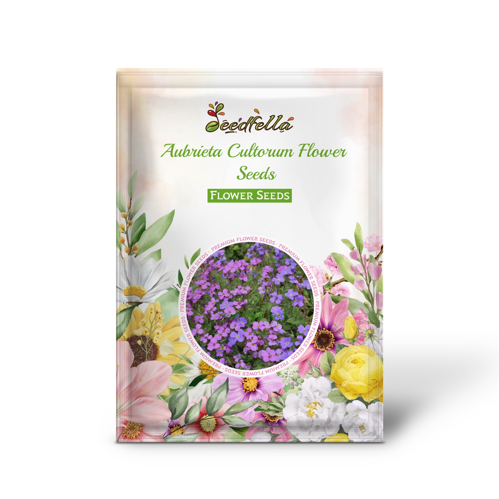 Multi-Coloured Aubrieta Cultorum flowers in full bloom