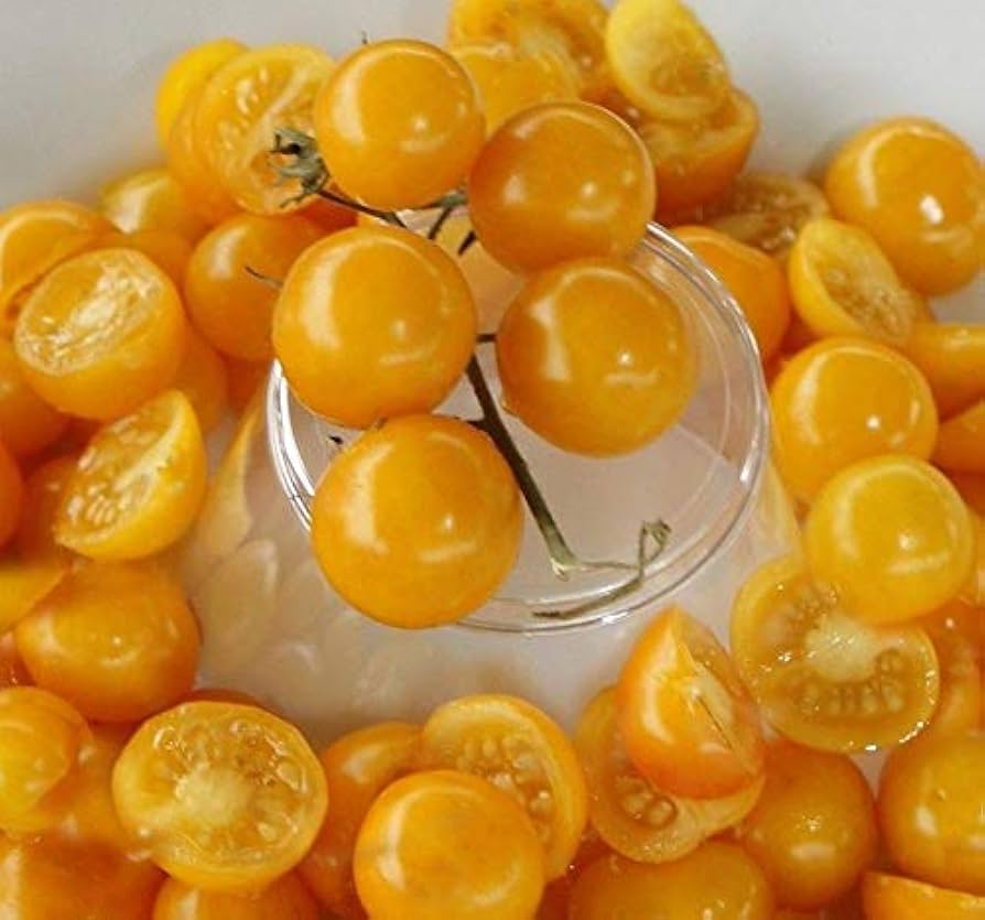 Aunt Ruby's Yellow Cherry tomato seeds for planting