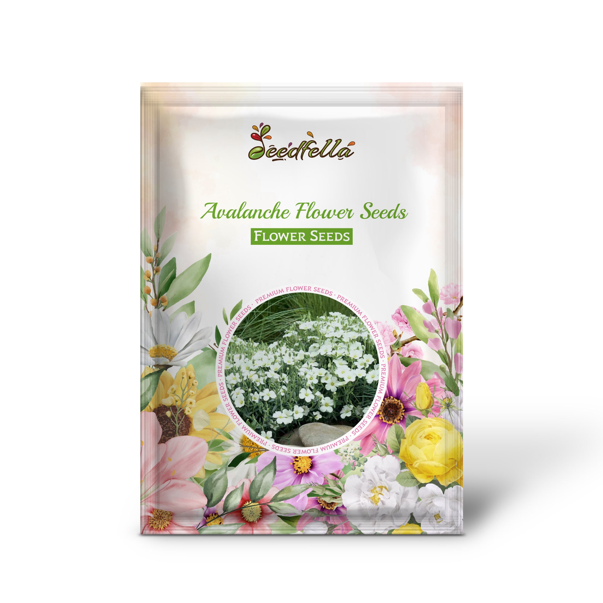 Avalanche flowers in full bloom