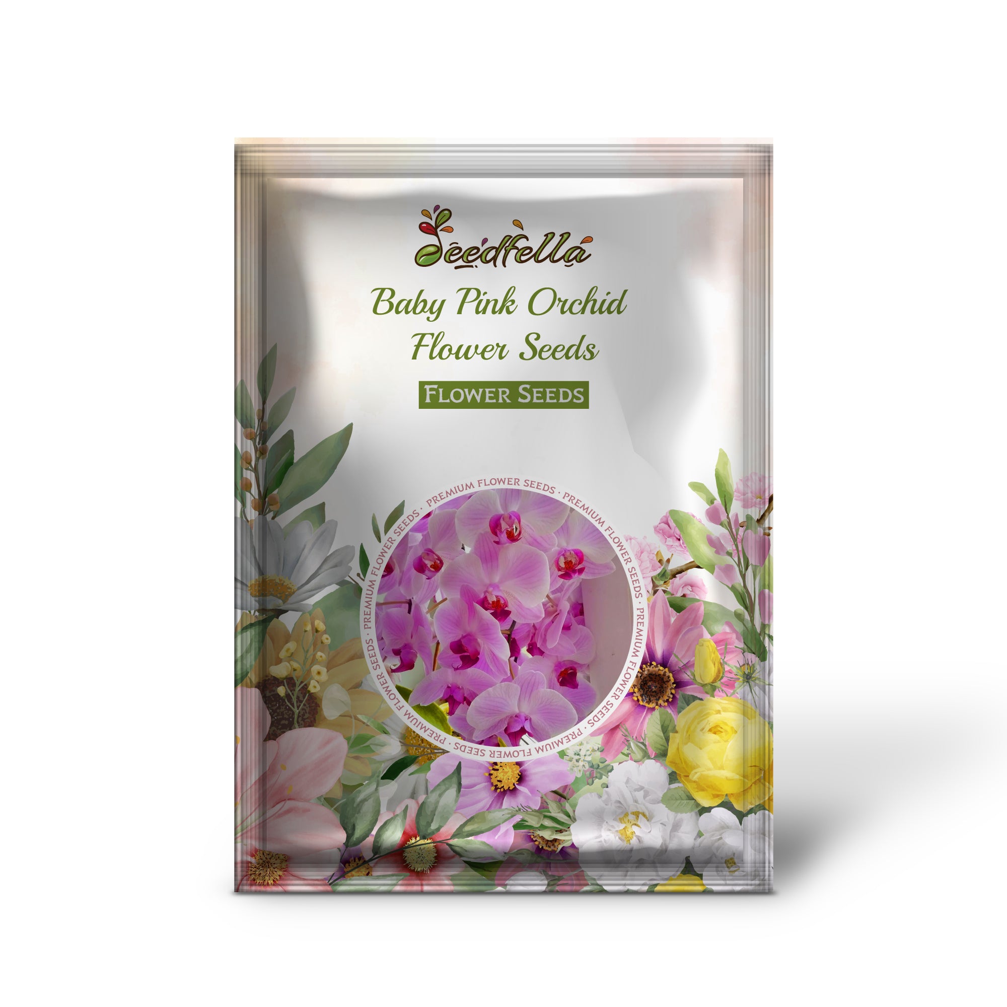 Beautiful Baby Pink Orchid Blooms