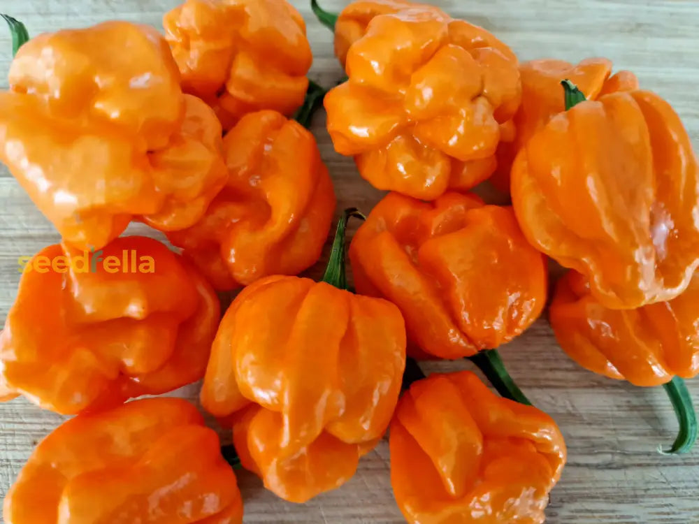 Bahamian seeds for home gardens