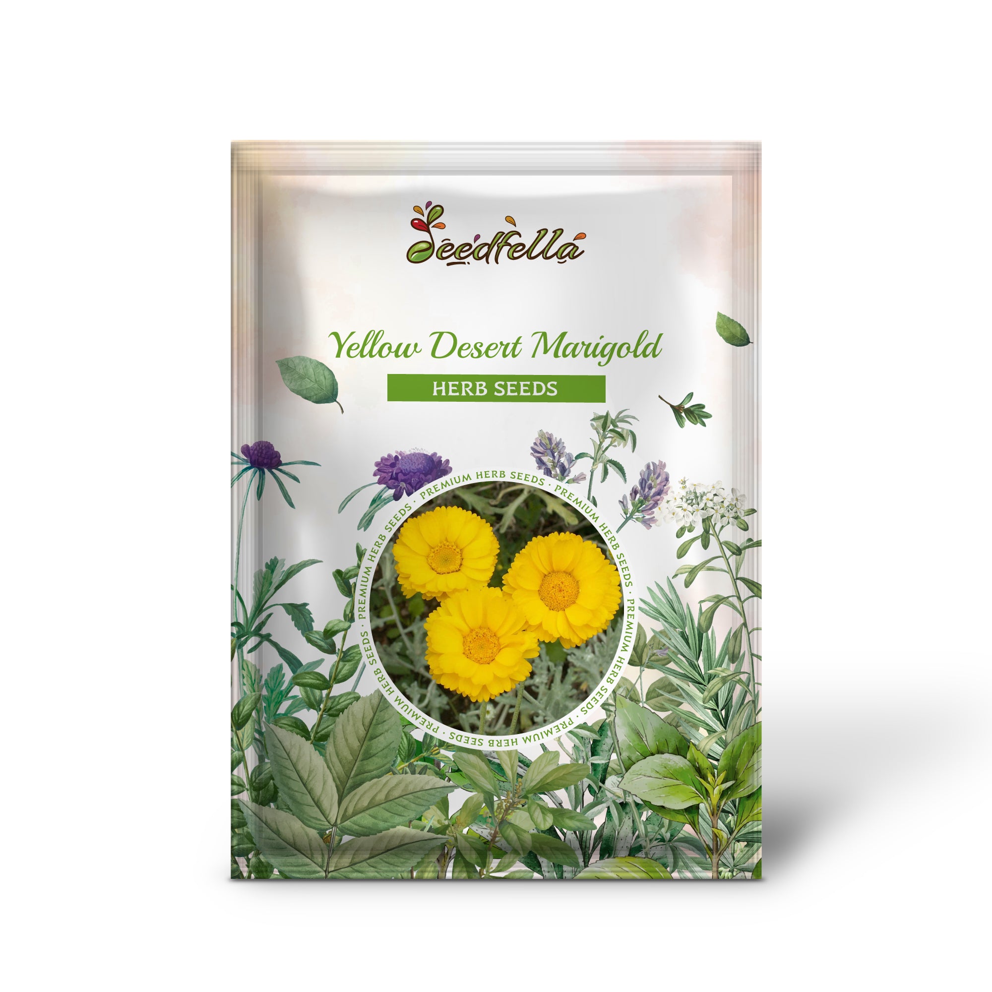 Baileya multiradiata seeds for desert wildflower gardens