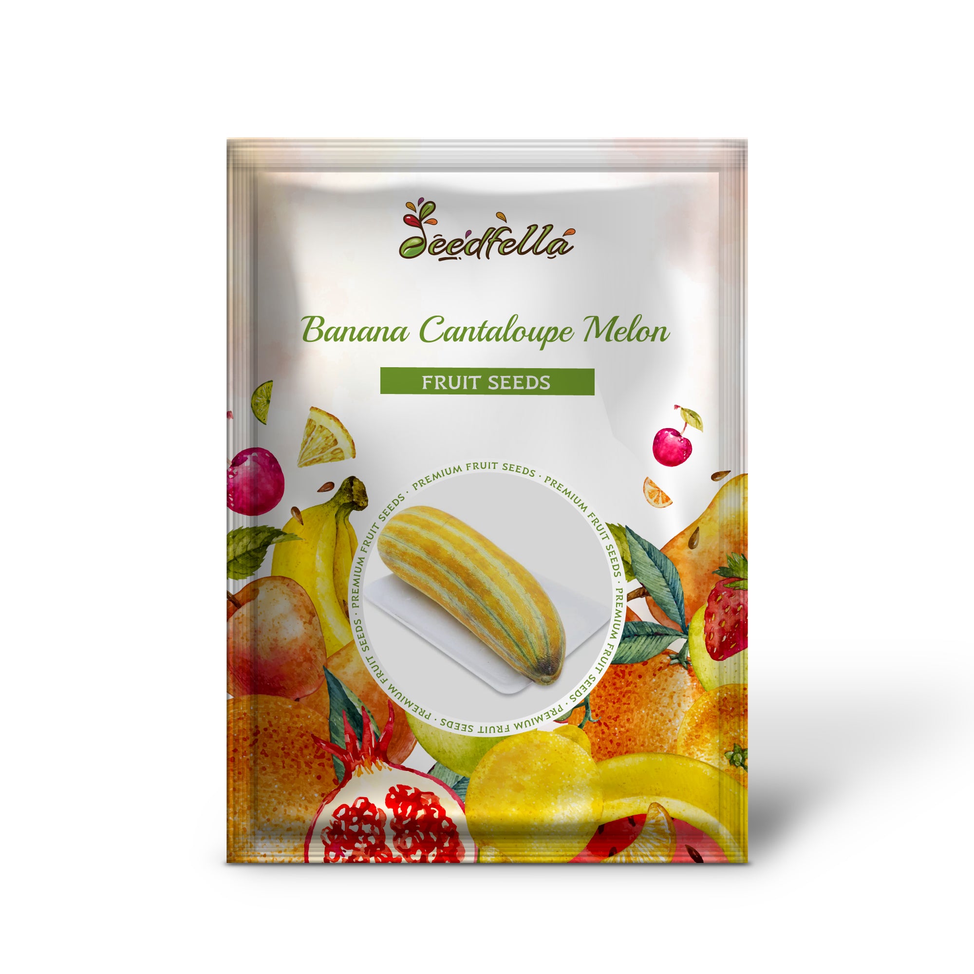 Banana cantaloupe melon seeds growing on healthy green melon vines