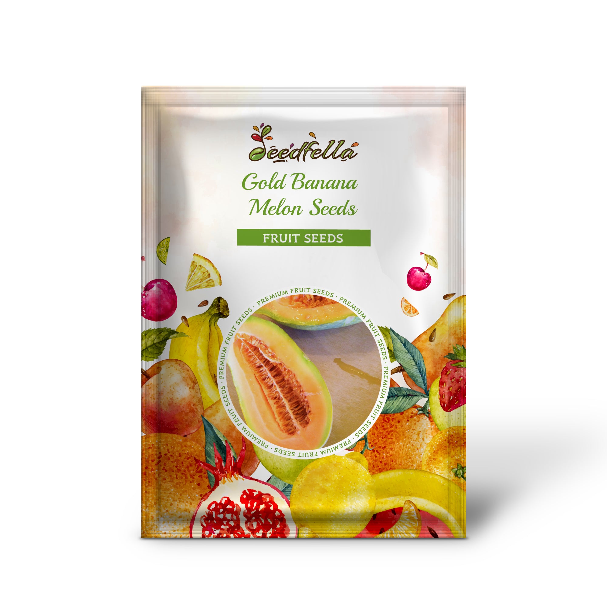 Banana Melon Seedlings Growing in Garden