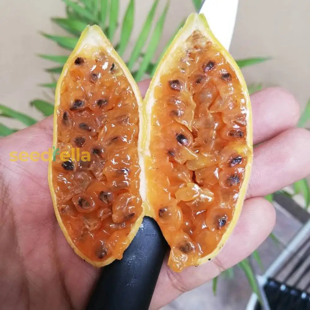 Banana Passion Fruit Seeds For Planting