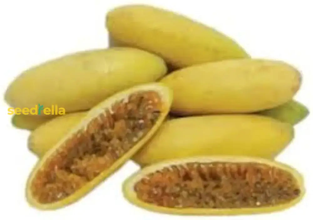 Banana Passion Fruit Seeds For Planting - Premium Garden