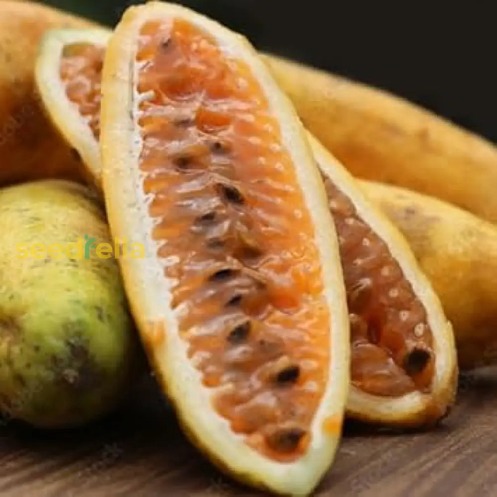 Banana Passion Fruit Seeds - Grow Exotic Plants