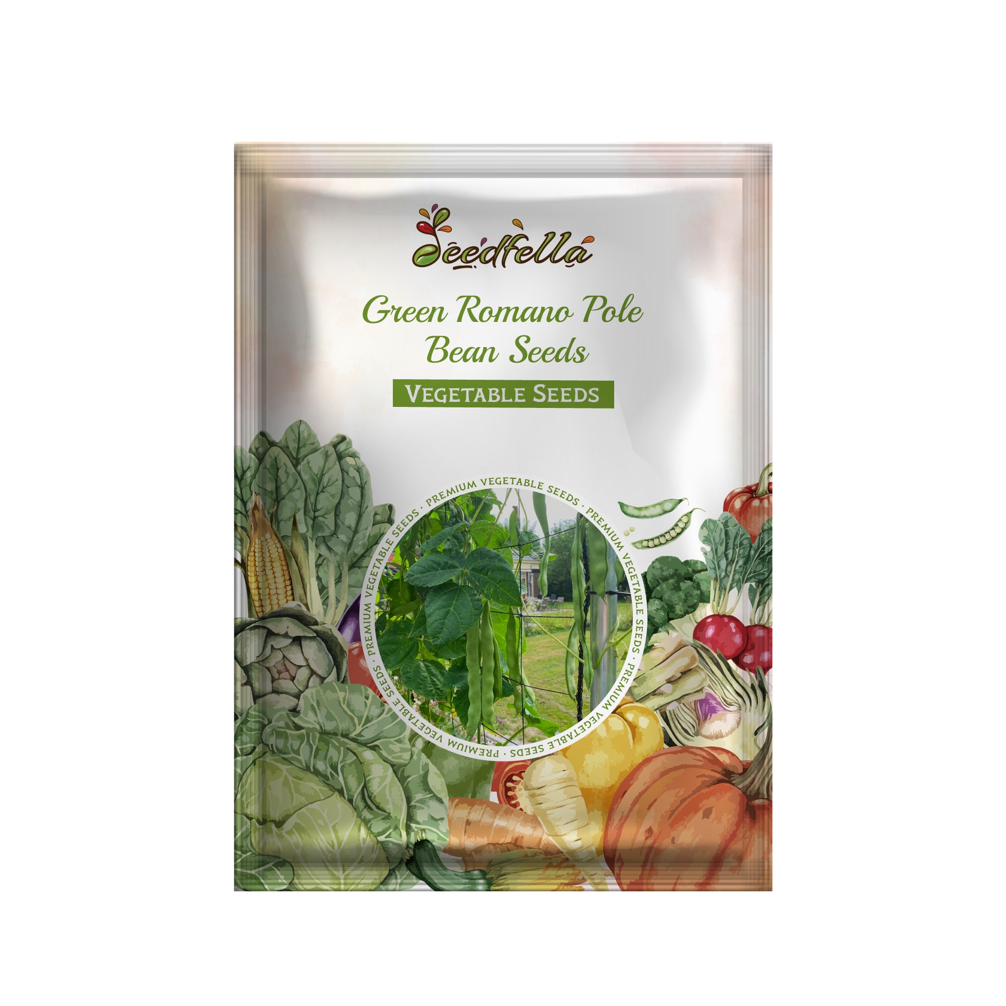 Green Romano Pole Bean seeds for home garden and trellised beds