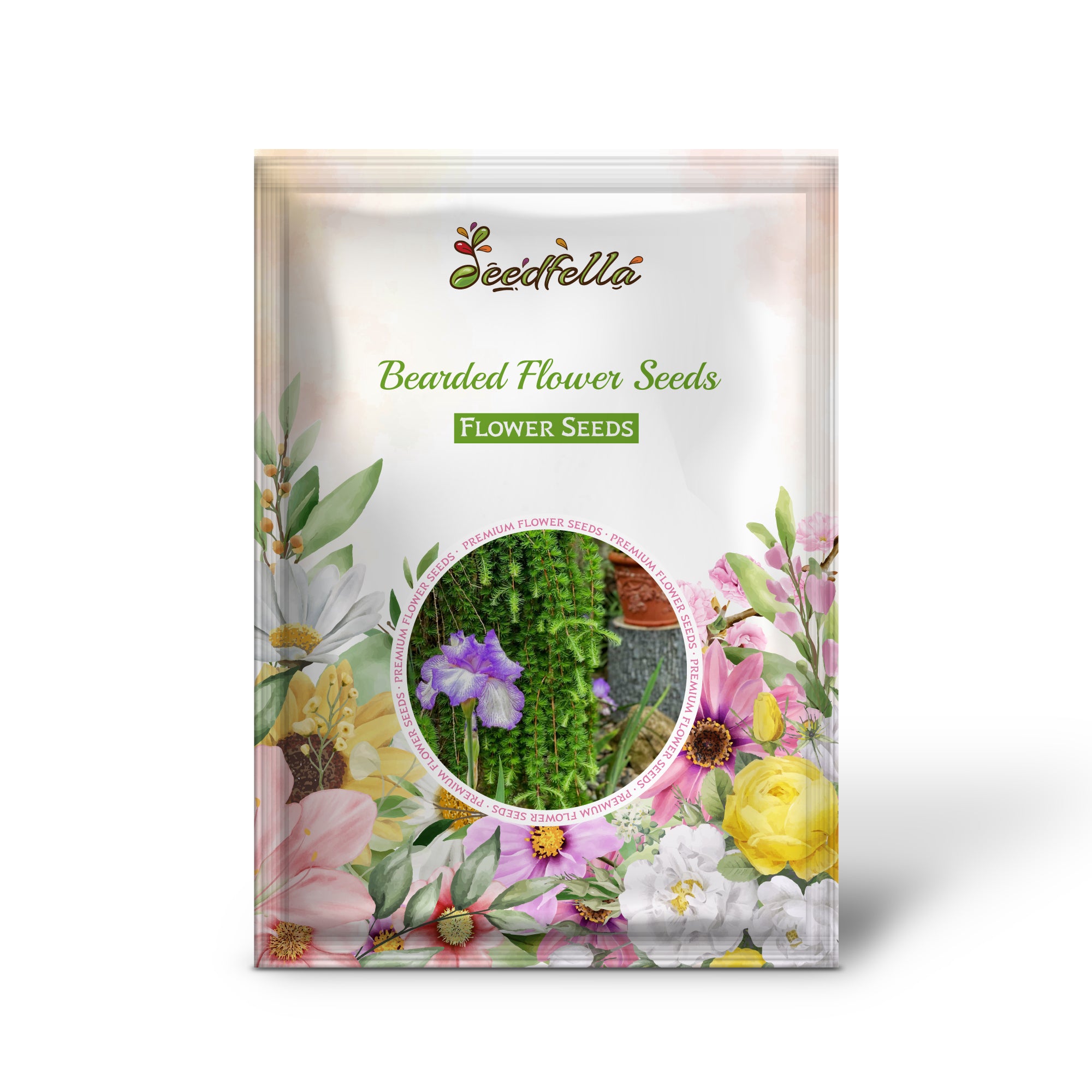 Bearded Flower Plant – Colorful and Elegant Blooms