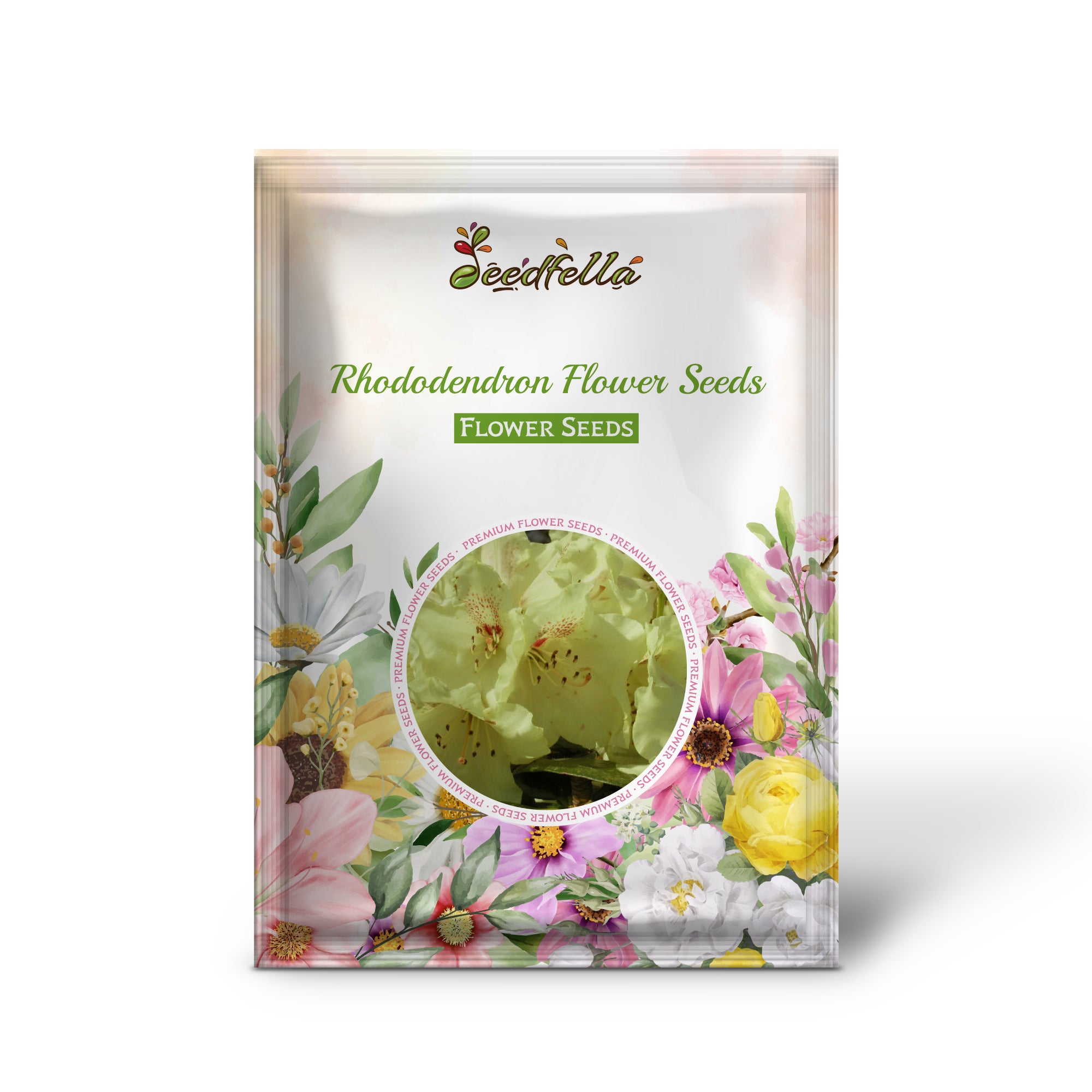 Beautiful Light Yellow Rhododendron Blooms for Garden Decoration