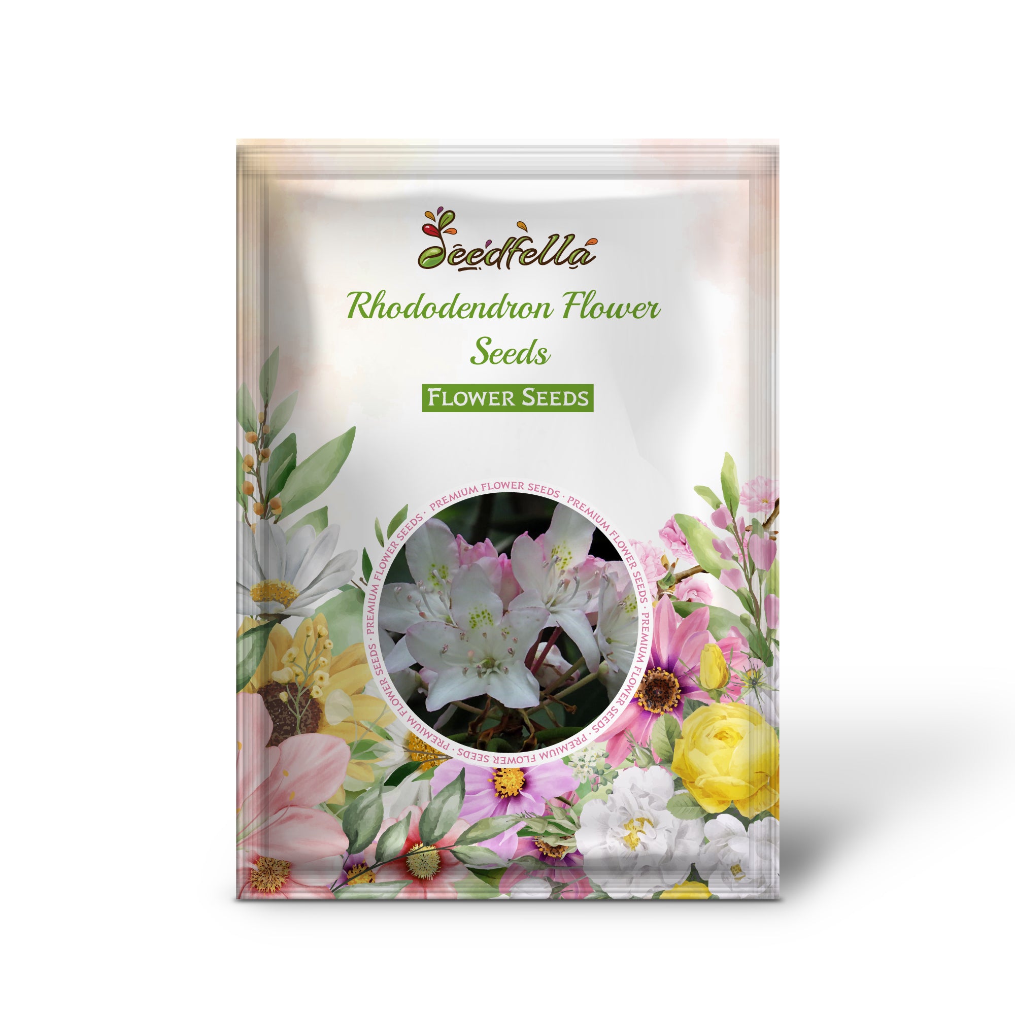 Beautiful White Rhododendron Blooms for Garden Decoration