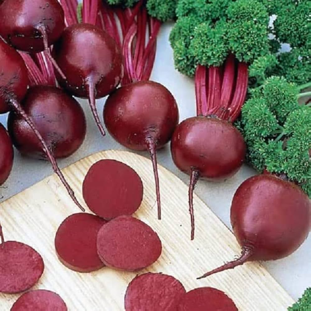 Beetroot plants growing in home garden bed