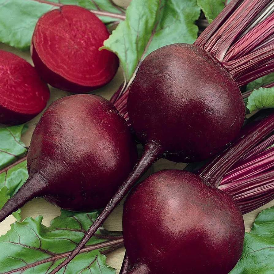 Beta vulgaris beetroot seeds for planting in garden