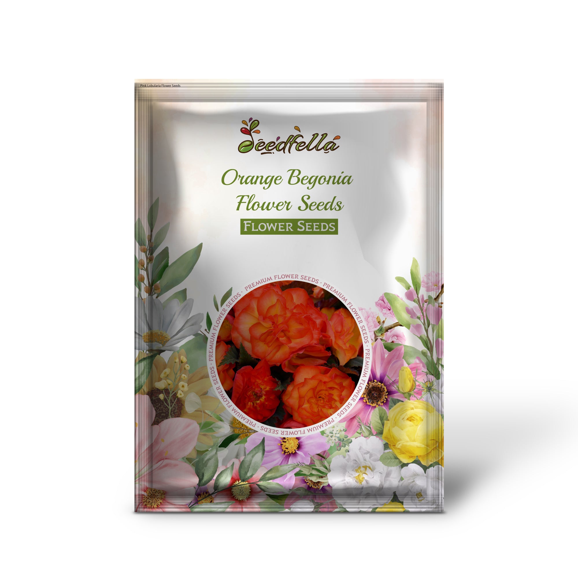 Begonia Orange Seeds For Planting