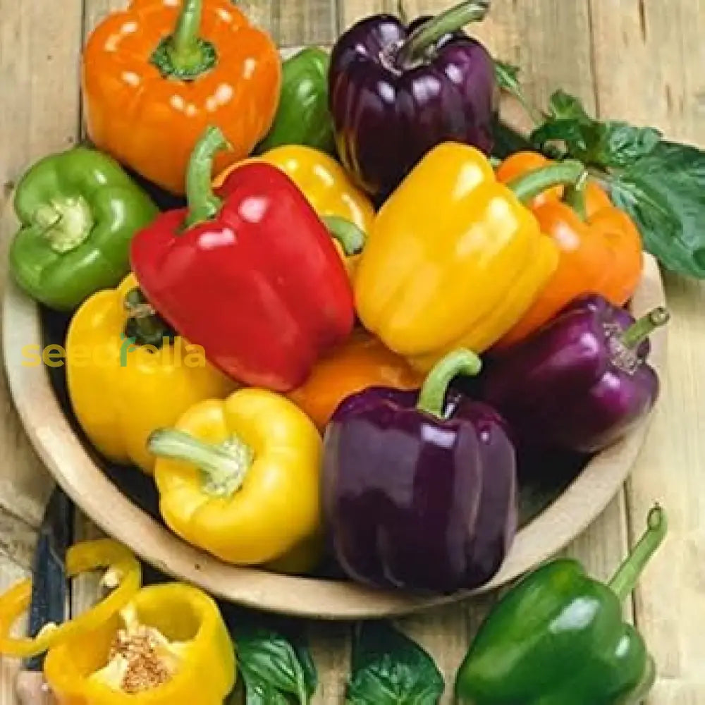 Bell Pepper seeds for home gardening