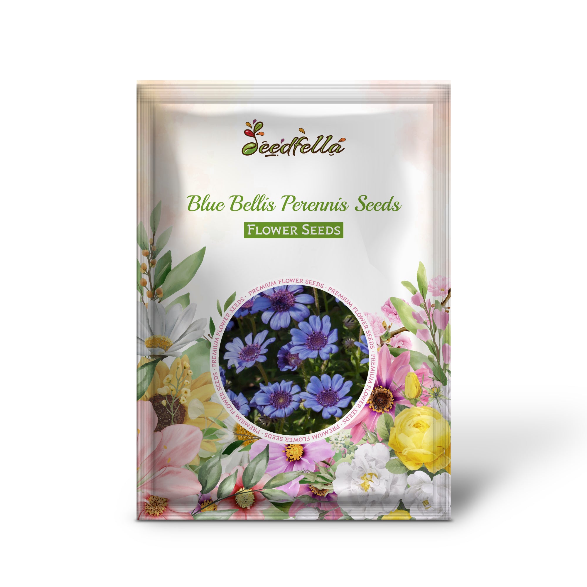 Bellis Perennis Blue Seeds For Planting