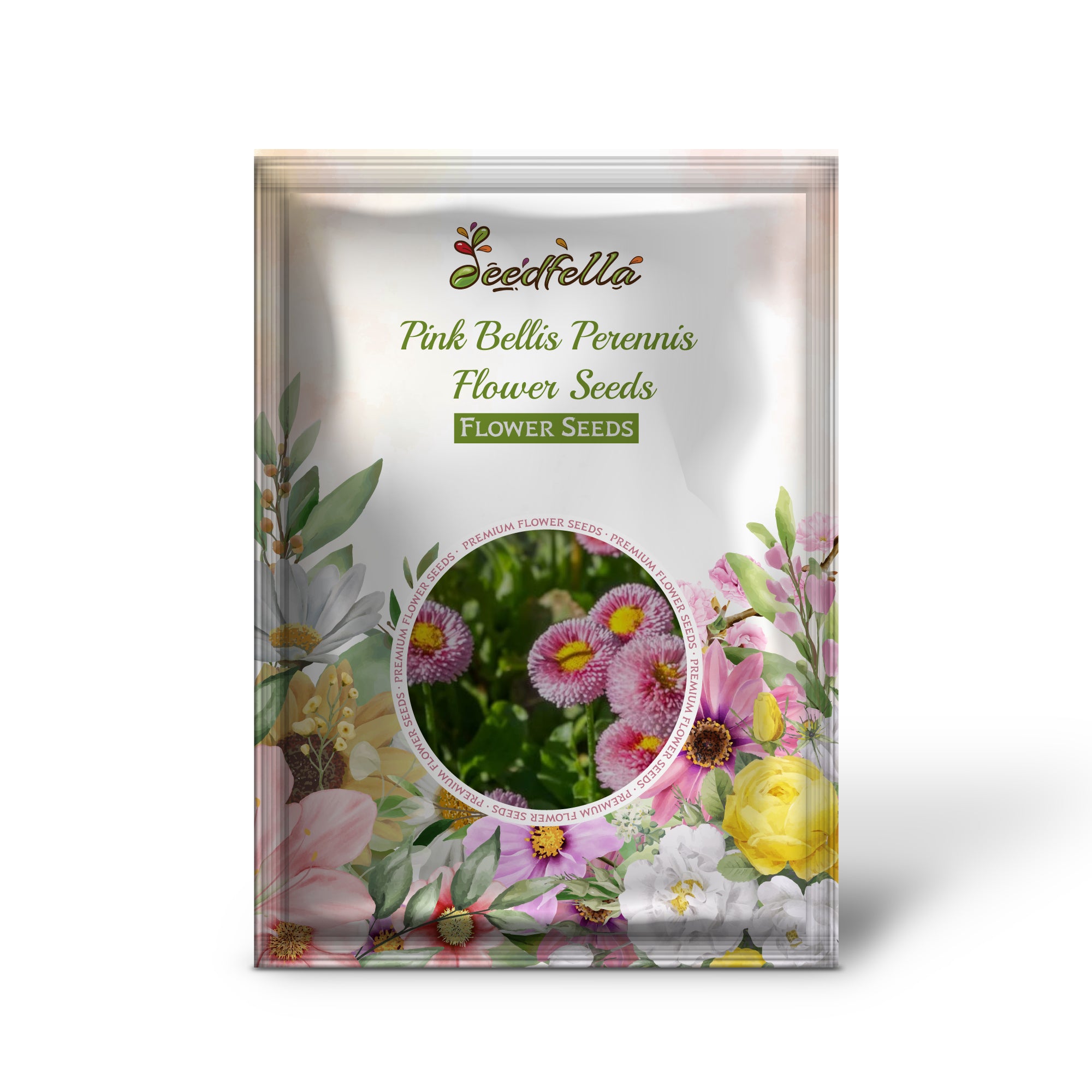 Non GMO Pink Bellis Perennis seeds for home gardening
