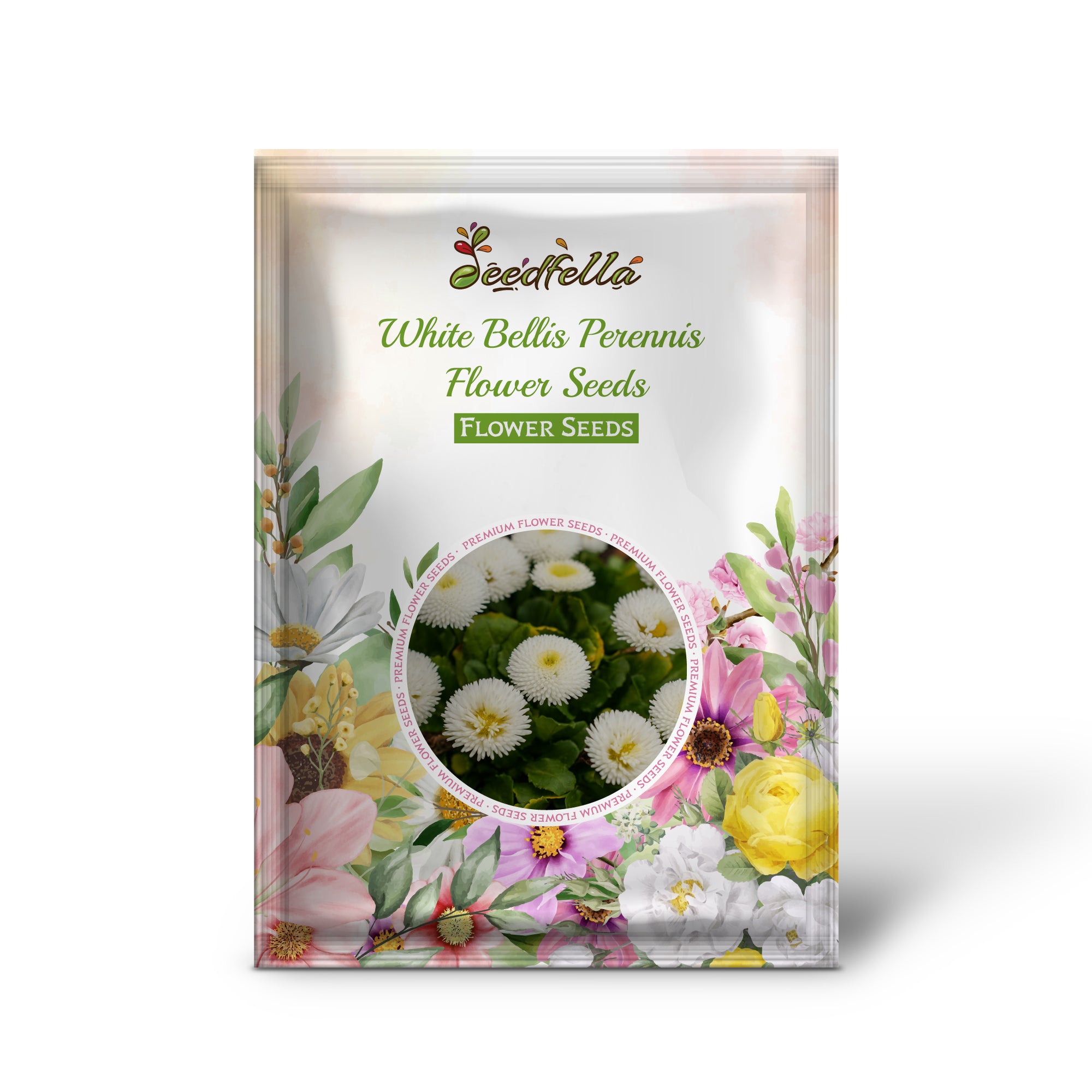 Bellis Perennis White Seeds For Planting
