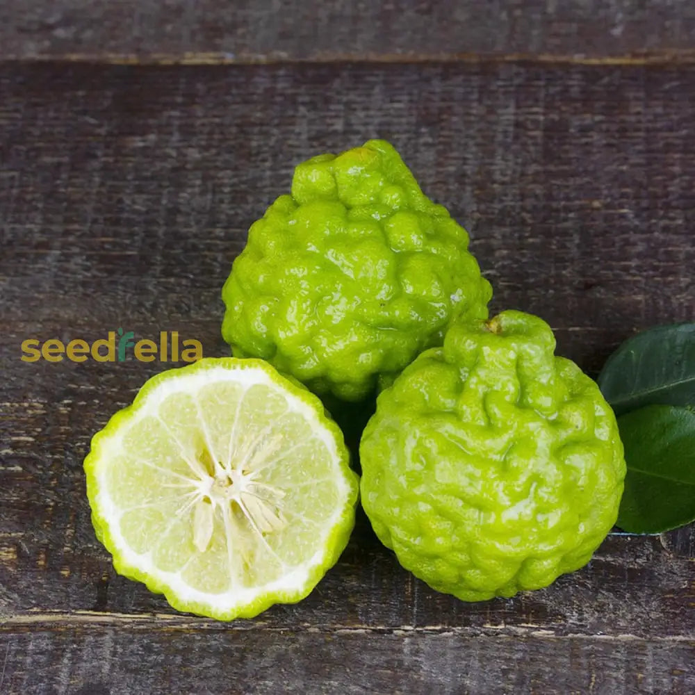 Bergamot Orange Seeds Citrus Bergamia Perennial Evergreen Edible Ornamental Bonsai Outdoor Patio